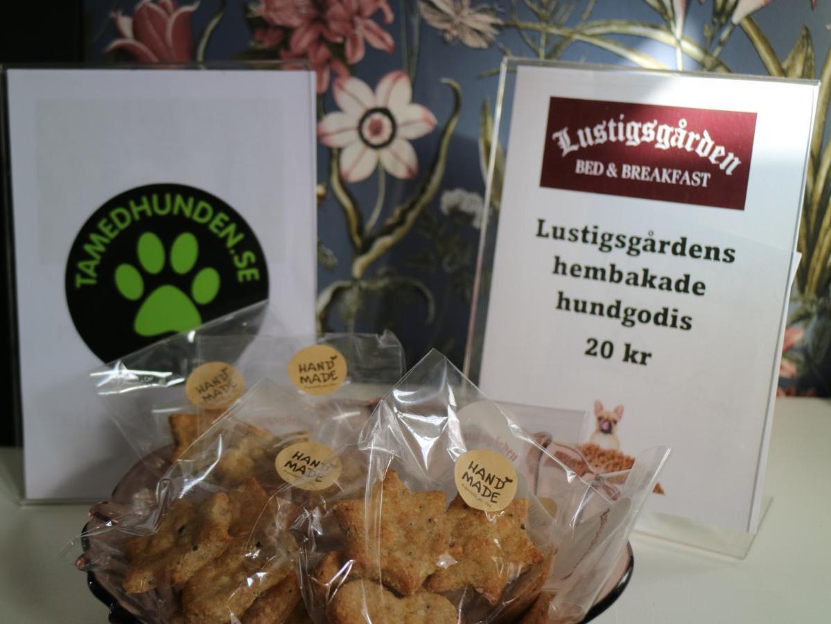 Lustigsgarden Boutique Hotel Rättvik Zewnętrze zdjęcie