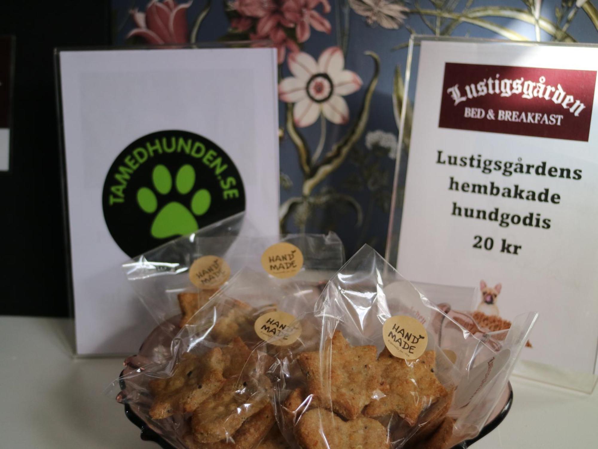 Lustigsgarden Boutique Hotel Rättvik Zewnętrze zdjęcie
